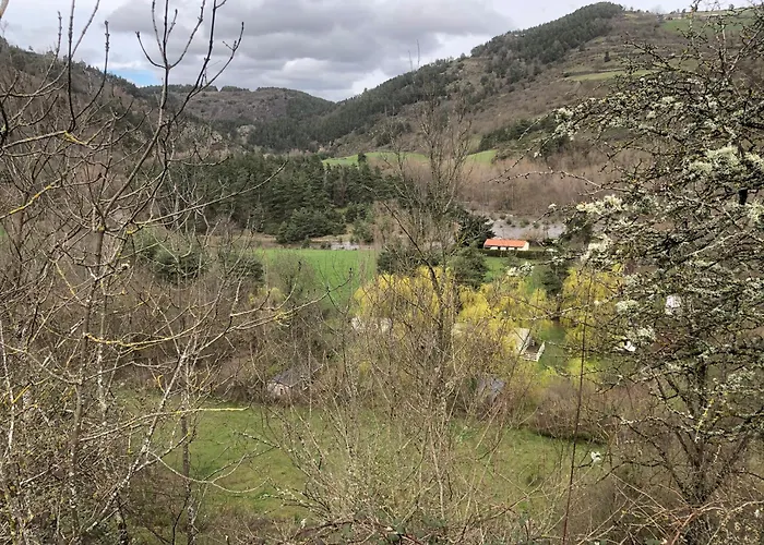 Chez Steve And Son Goudet